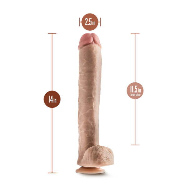 Realistyczne dildo Blush Dr Skin PVC Ø 6,3 cm - obrazek 3