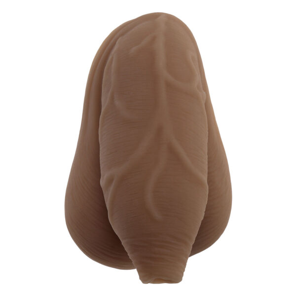 Realistyczne dildo Gender X TPE Ø 4,3 cm - obrazek 5